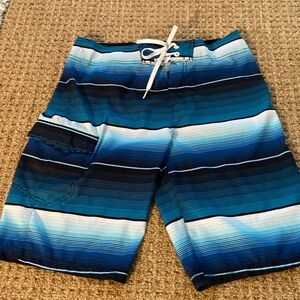 Mens HANGTEN swim trunks